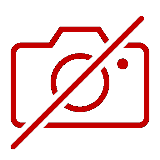 Paw Patrol: Rubbles Weihnachtswunsch